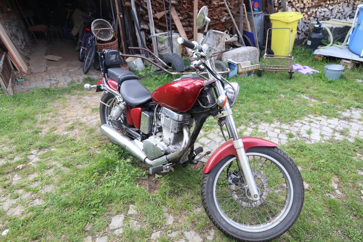Suzuki Savage - rat - 6