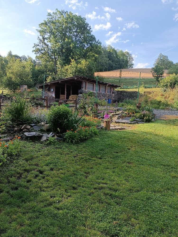 prodej usedlosti v Guntramovicích - 6