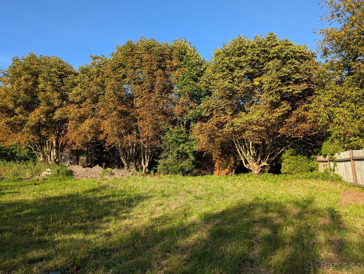 Stavební parcela Jenišovice 1293 m2 - 6