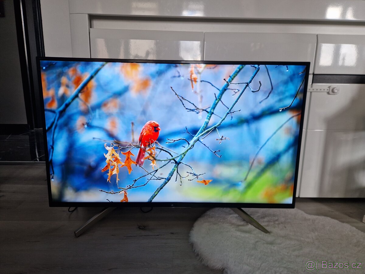 4K UltraHD Smart Tv Sony KD-43XF7596 - 6