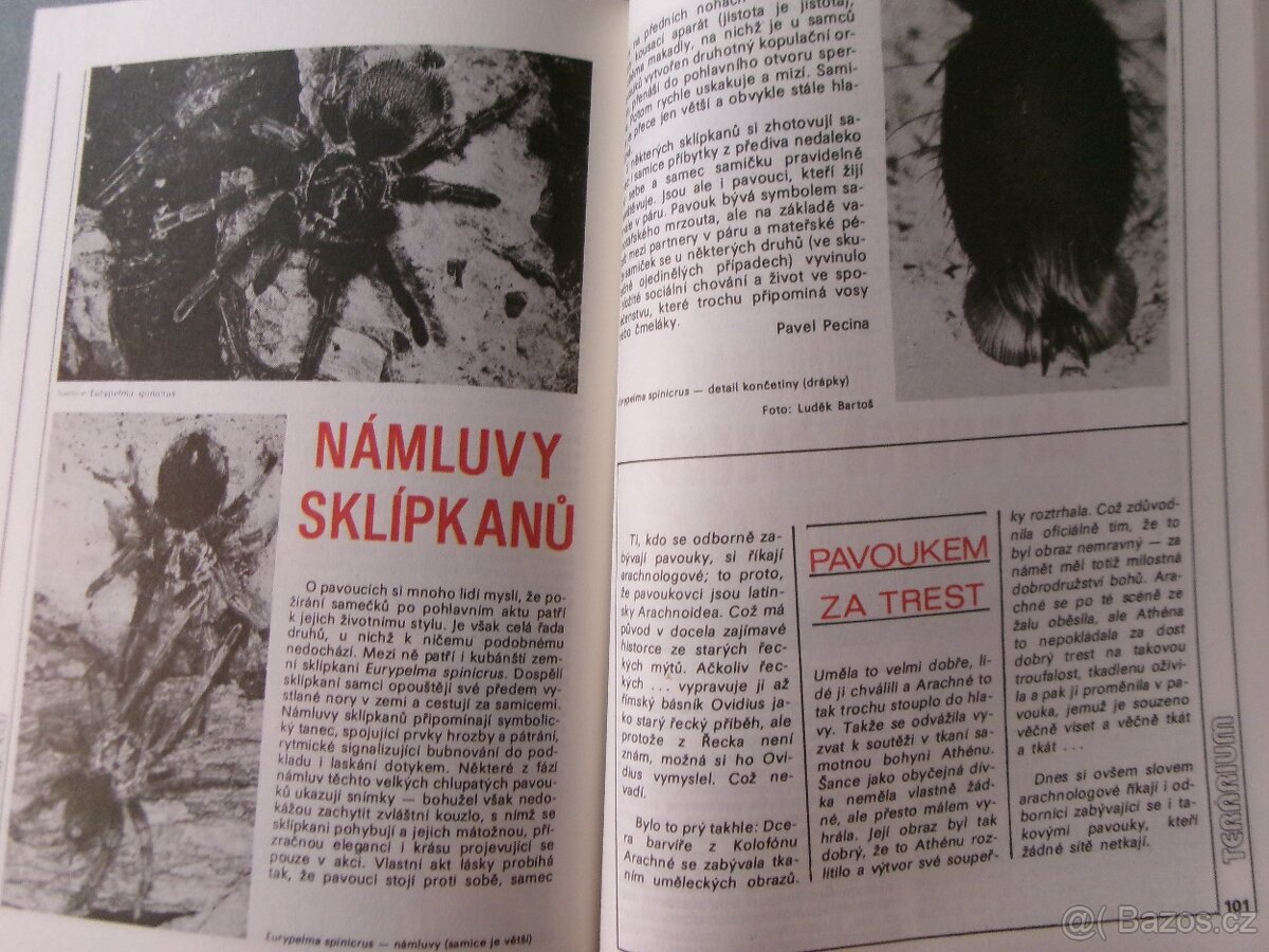 Magazín Akvárium terárium. - 6