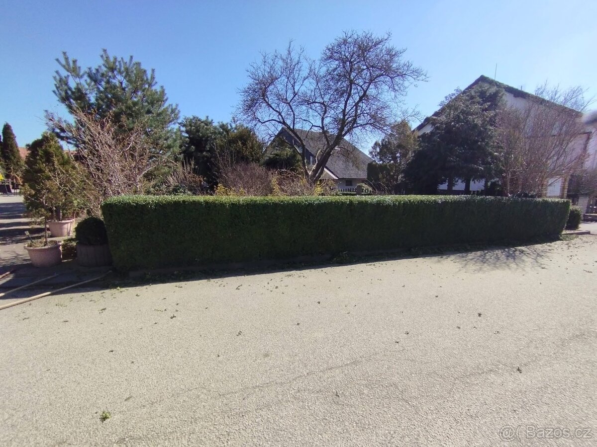 Zahradnické práce - 6