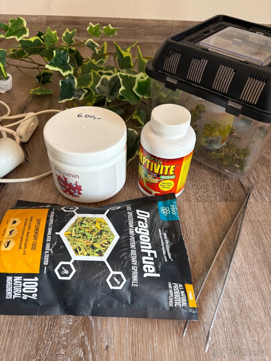 Terarium 150cm s vybavením - 6