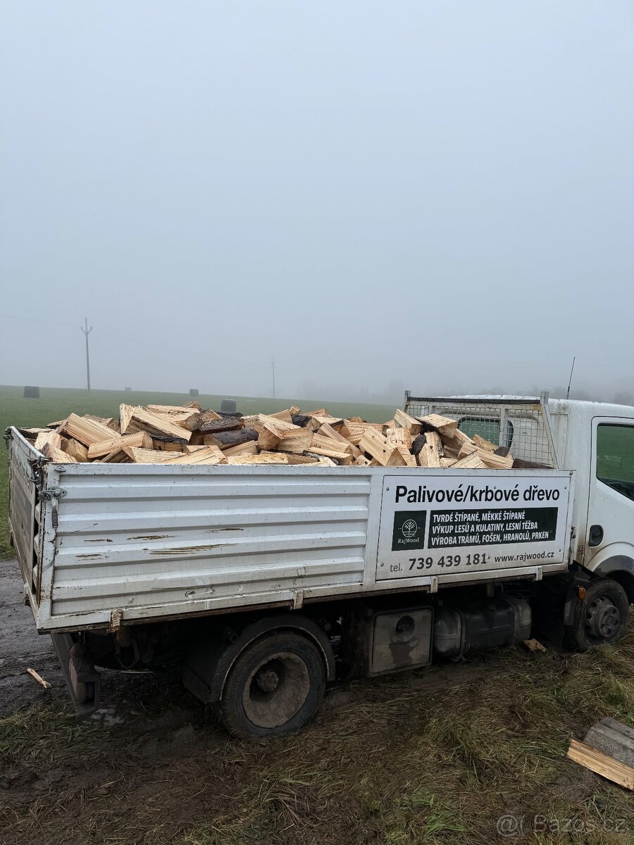 Palivové dřevo z Vyskře - 6