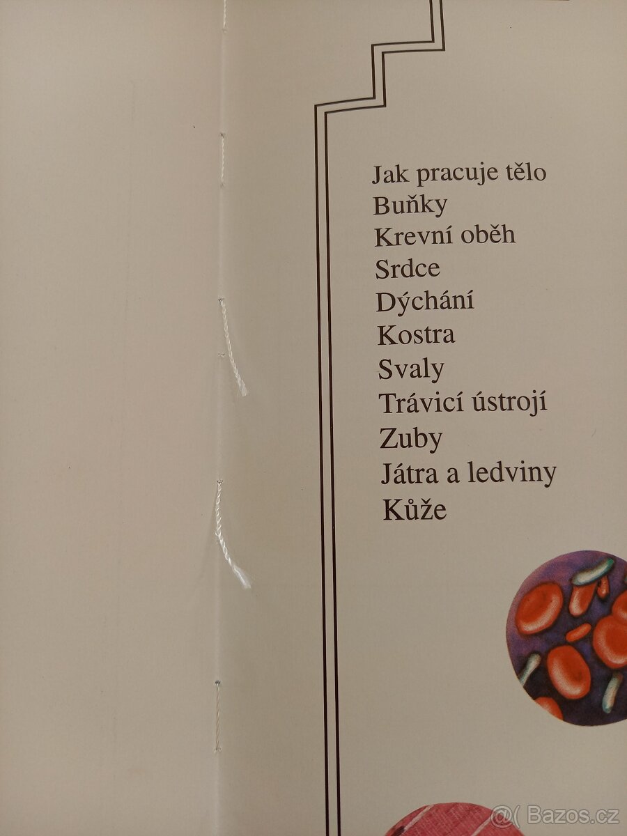 Člověk a jeho tělo - 6