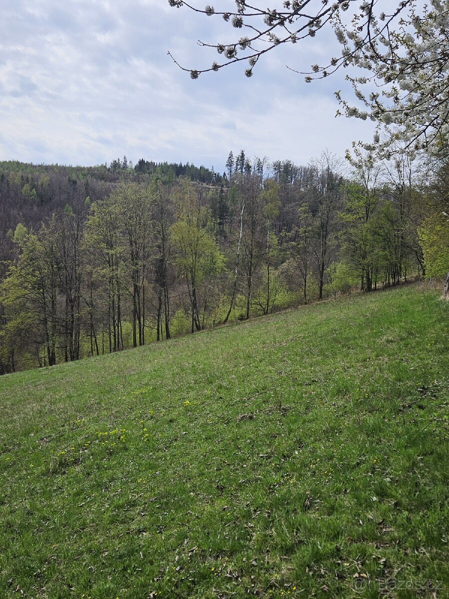 Lesní pozemek - 6