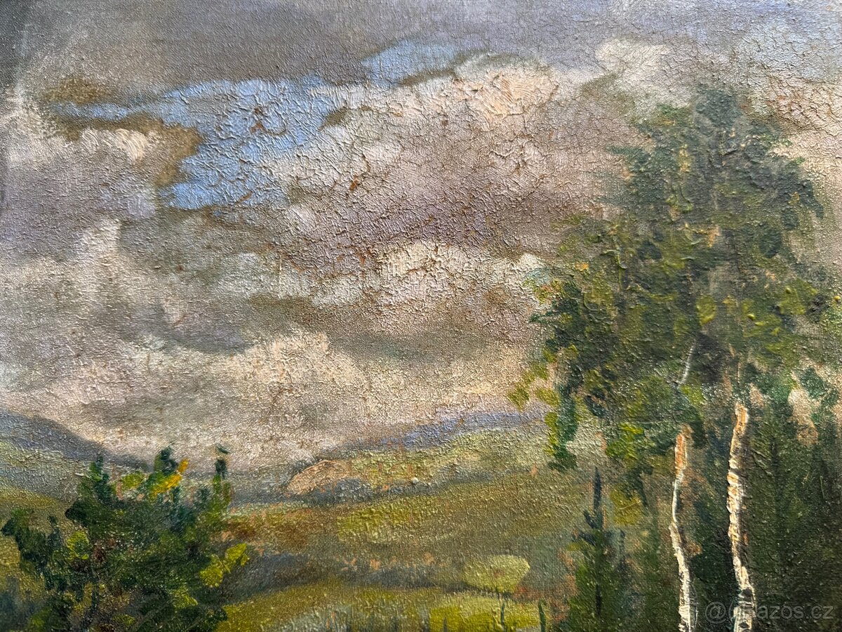 Obraz Krajina s břízami - 6