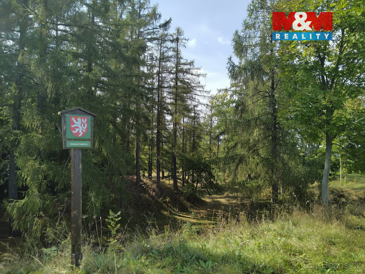 Prodej tufitového lomu, 13529 m², Razová - 6