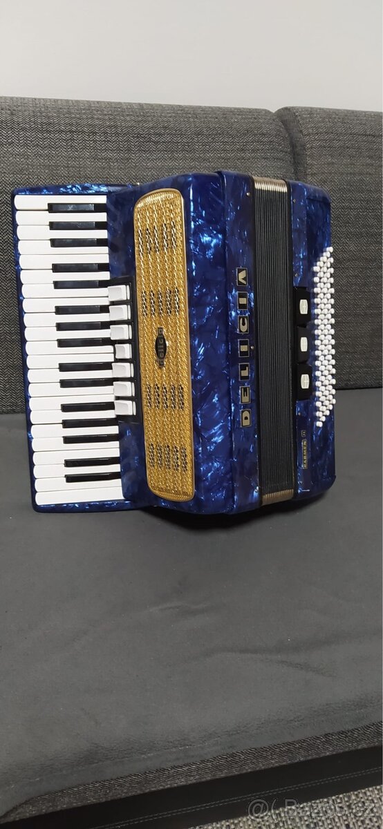 Akordeon Delicia Carmen II - 6