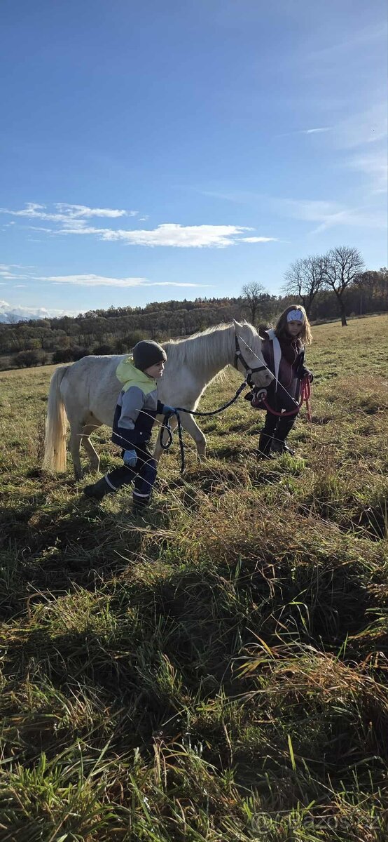 Letošní hřebeček - 6