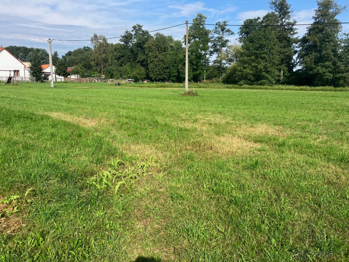 Pozemek ve Vodňanech - 6
