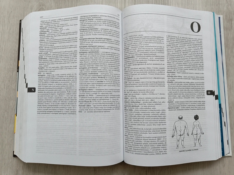 Velký lékařský slovník - Vokurka, Hugo - 6