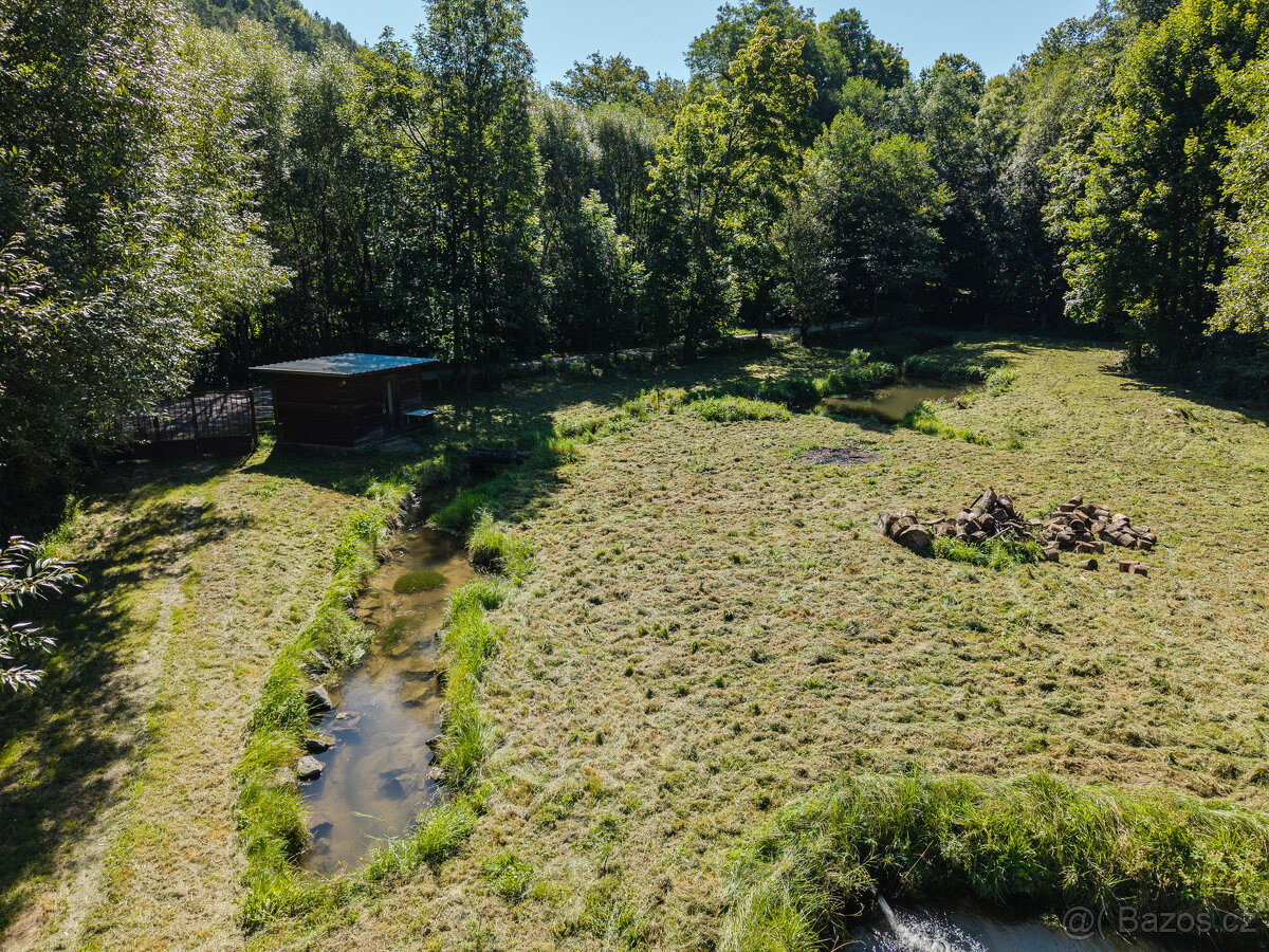 Pronájem rybích sádek, Nové Hrady - 6