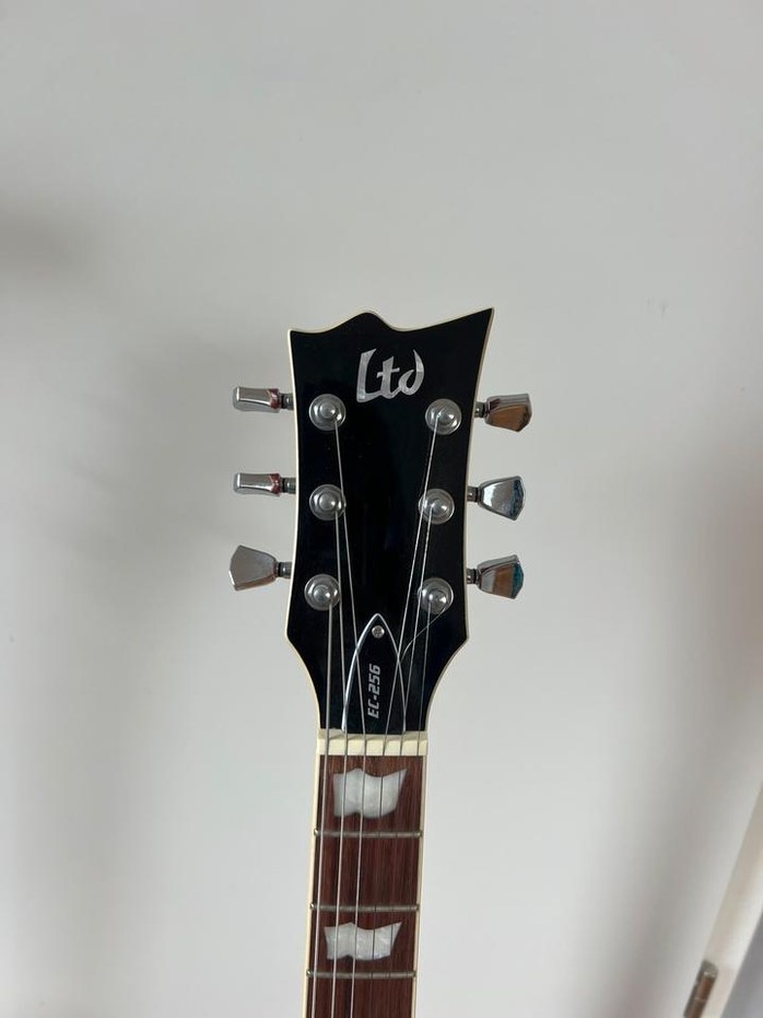 Kytara ESP LTD EC-256 FM + kufr - 6