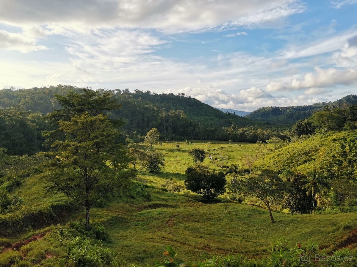 Pozemky a domy Kostarika - 6