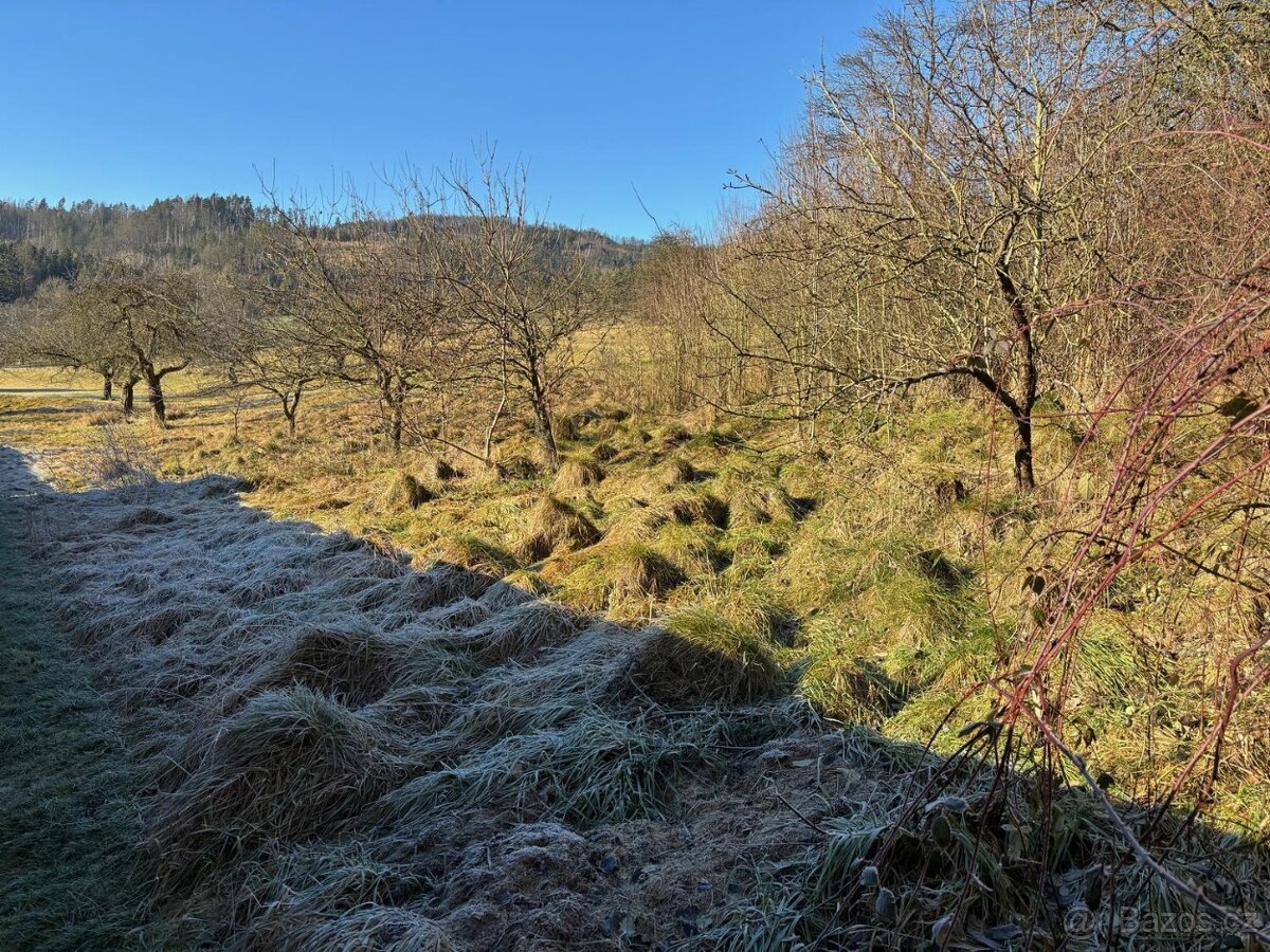 Prodej stavebního pozemku 1065m2 Koroužné - 6