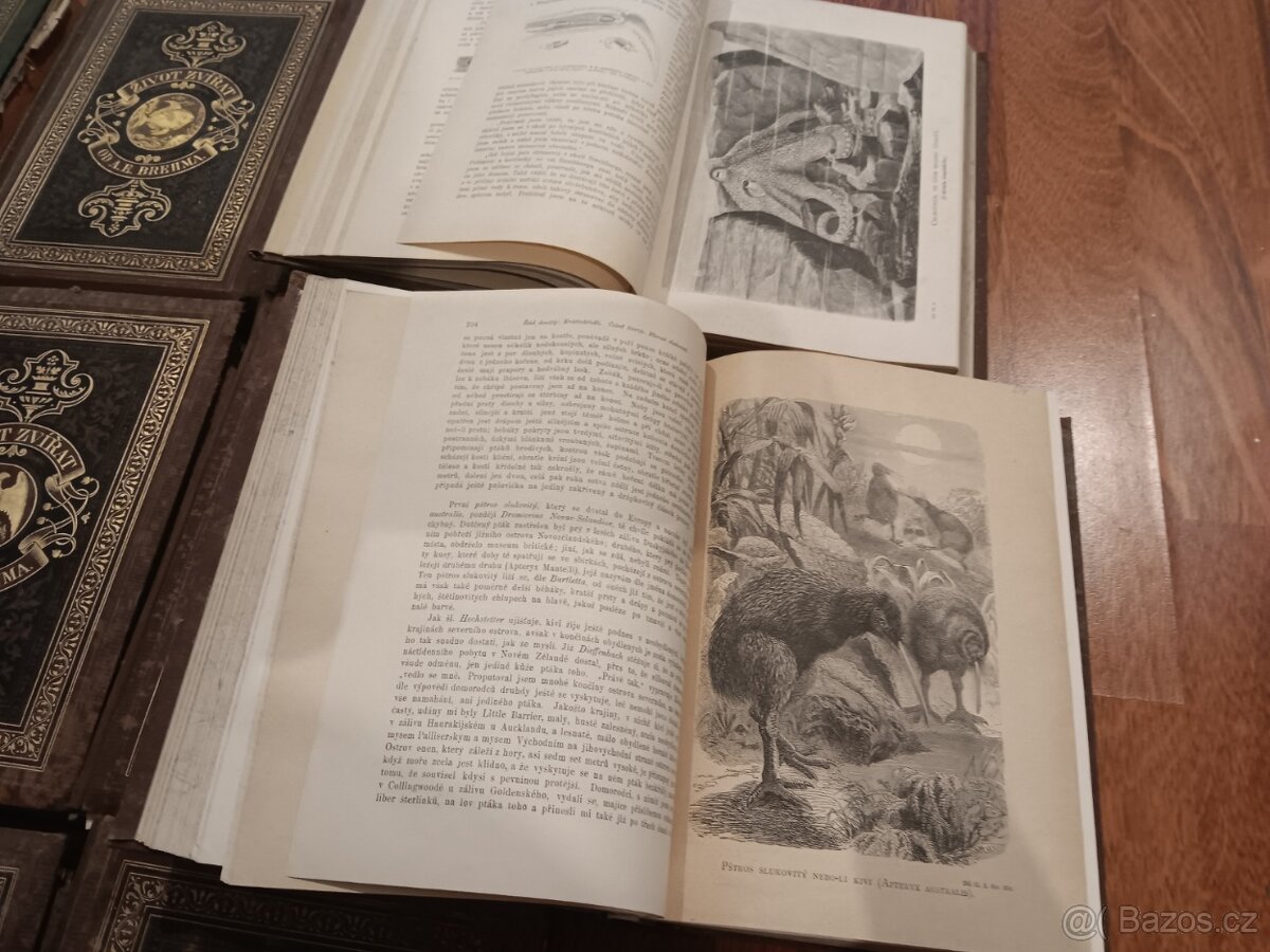 Brehm, život zvířat - 6