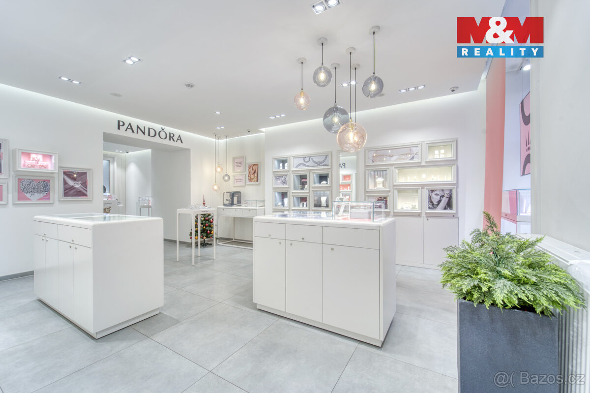 Pronájem obchod a služby, 116 m², Plzeň, ul Bedřicha Smetany - 6