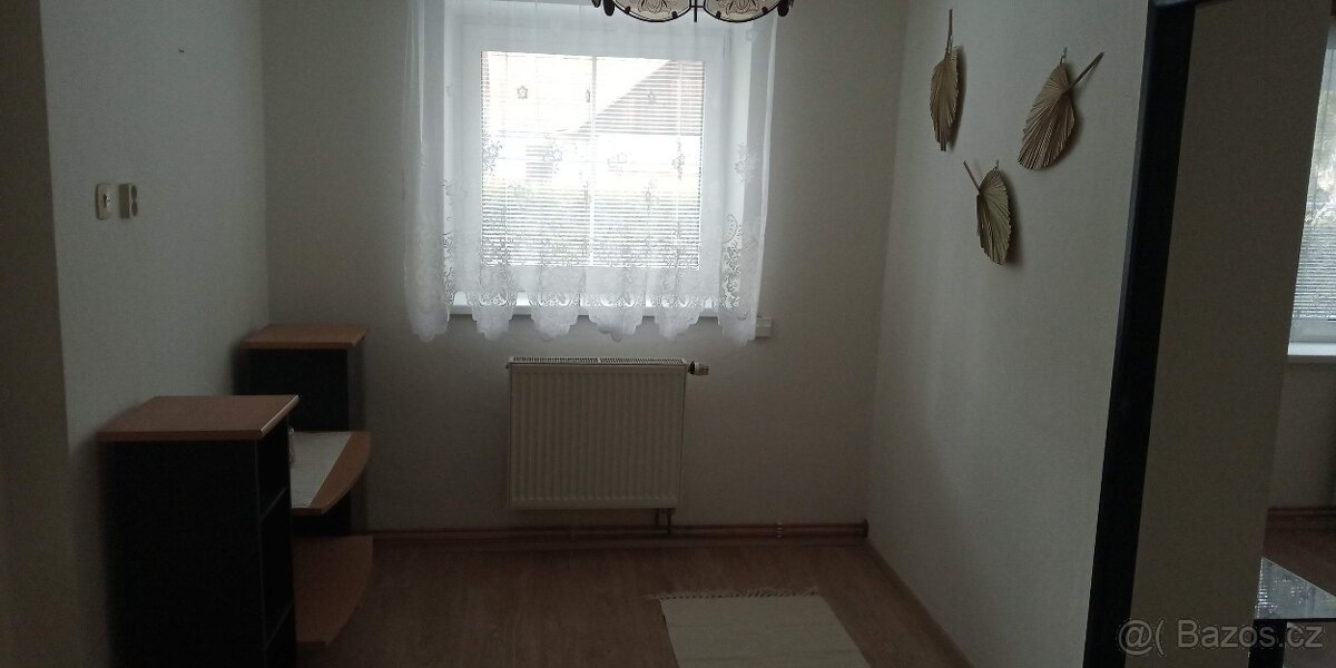 Pronájem bytu 3+1 - 6