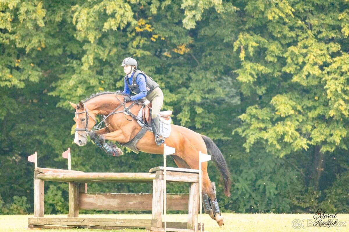 Top klisna do sportu - 6