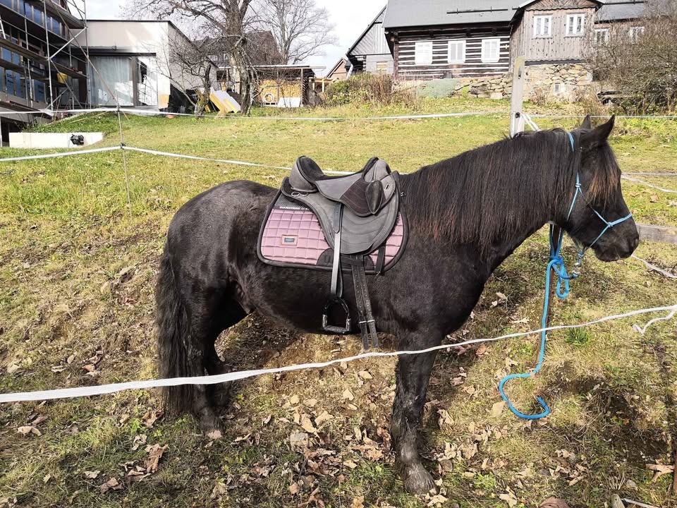 Bezkostrové sedlo Barefoot Just Adjust - 6