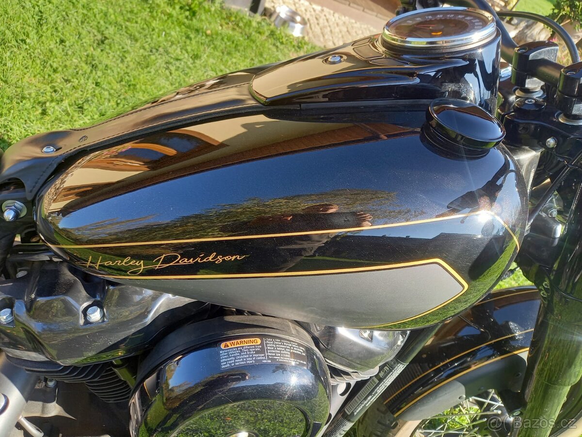 Harley Davidson FLSL Softail Slim 107” - 6