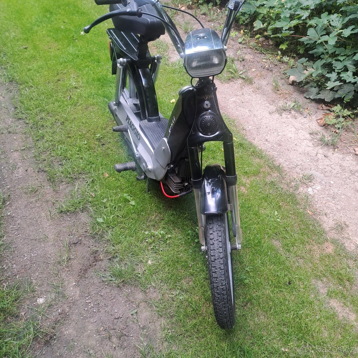 Testi zanella - 6