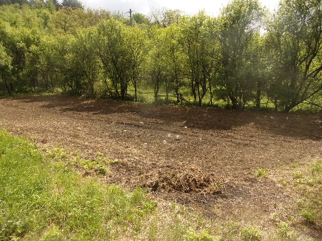 Prodám - 6