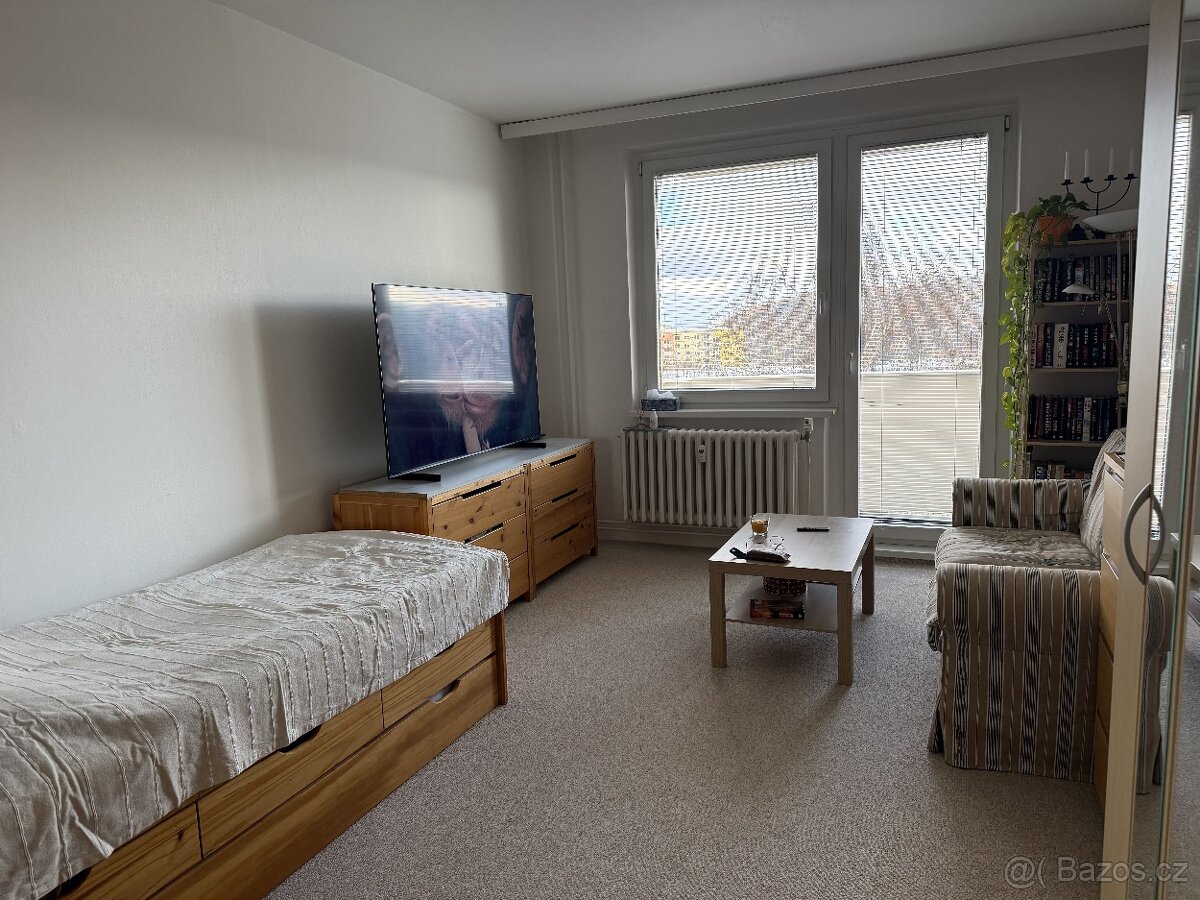 Pronájem bytu 1+1 41 m², Bystrc - 6