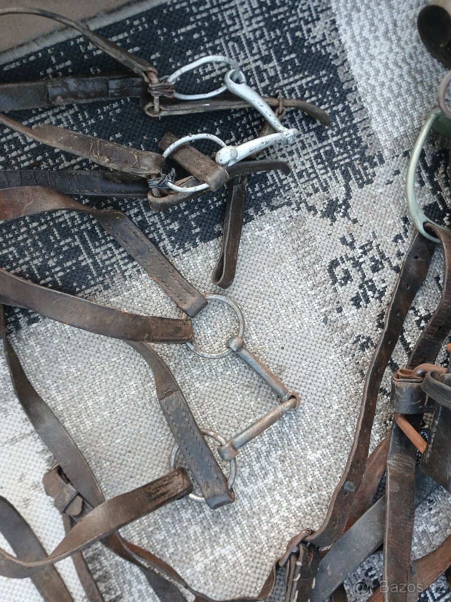 Potřeby pro koňe - 6