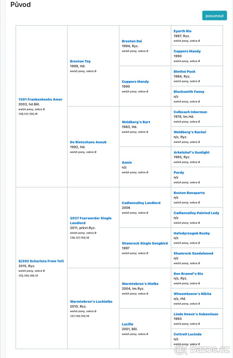 Welsh kobylka sekce B - 6
