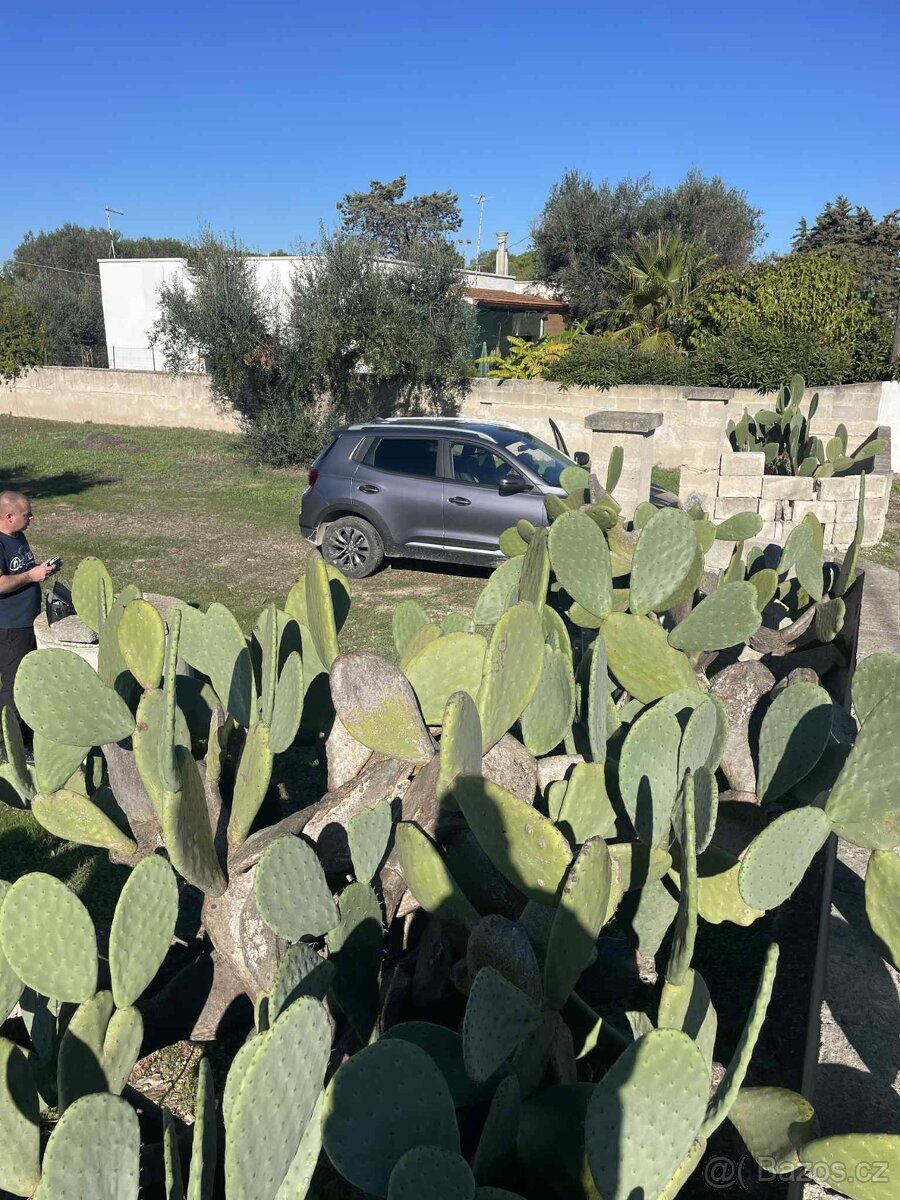 Krásný oplocený pozemek 600 m² se studnou jen 700 m od pláže - 6