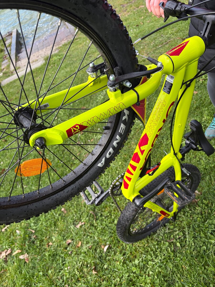Dětské kolo ORBEA MX 20 TEAM Lime-Watermelon (2023) - 6