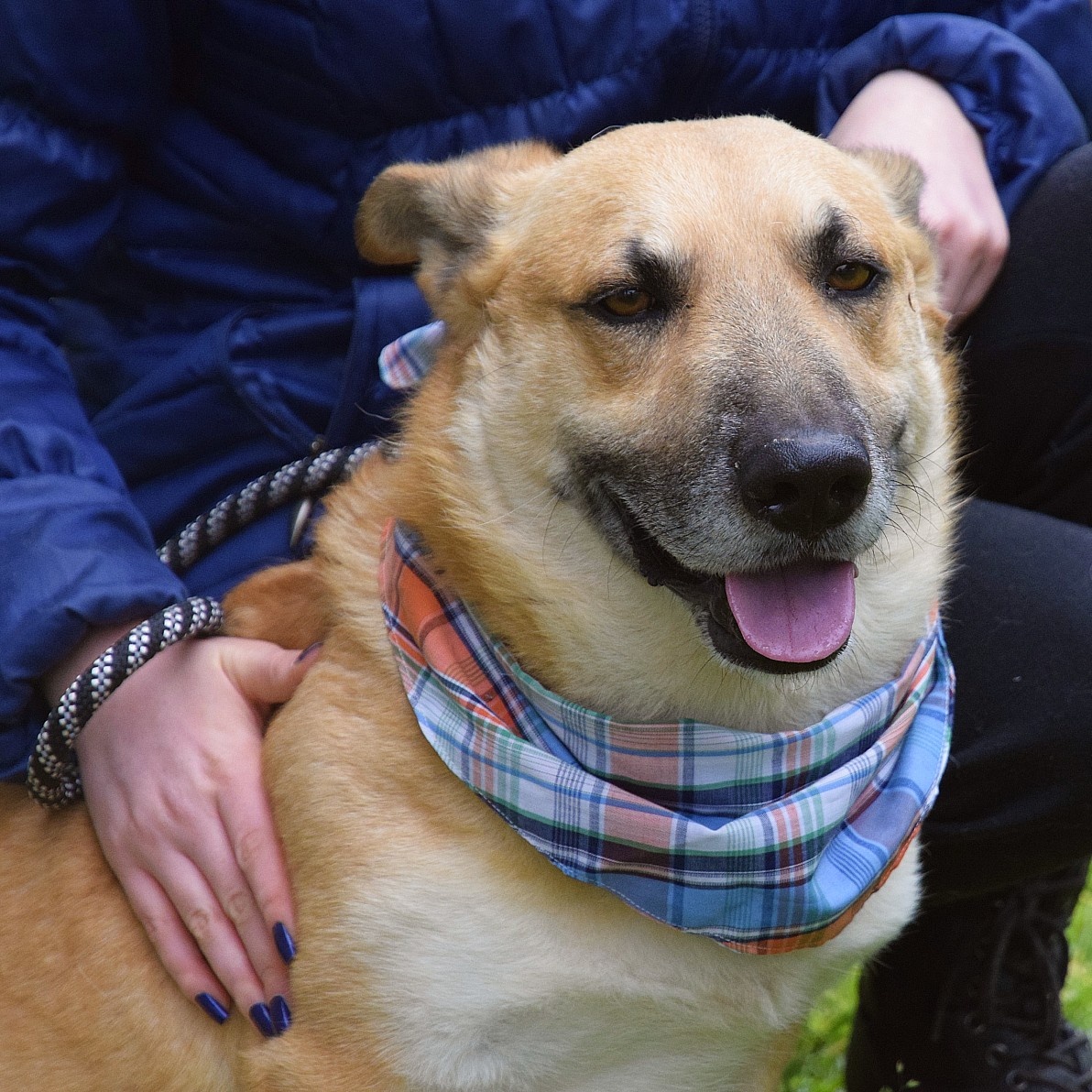 Odin hledá domov - 6