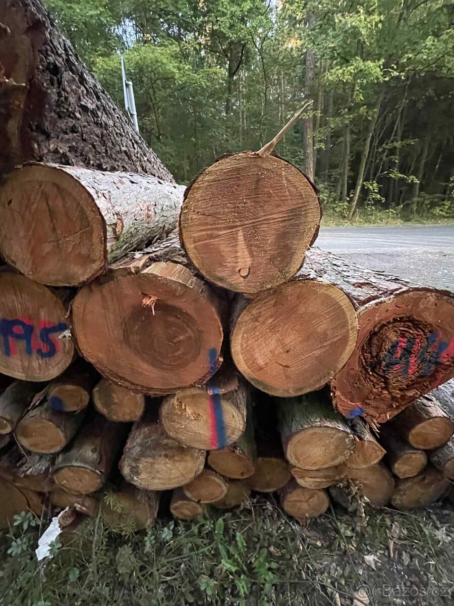 Palivové dřevo přímo pro Vás – od 900 Kč - 6