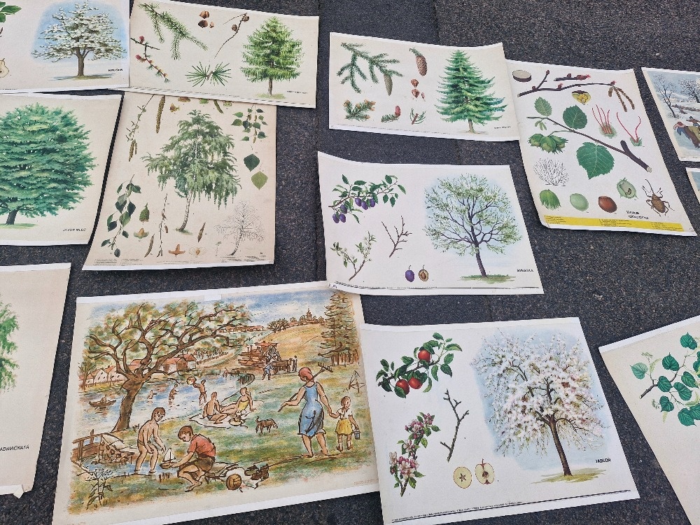 Stare skolni plakaty 50/60 leta - 6