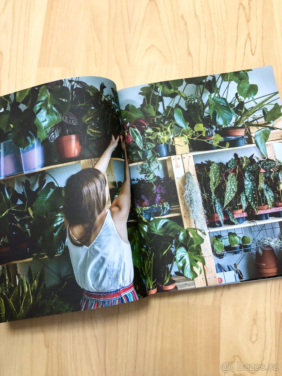 Kniha: Pokojovky a jak se o ně starat - podepsána od autorek - 6