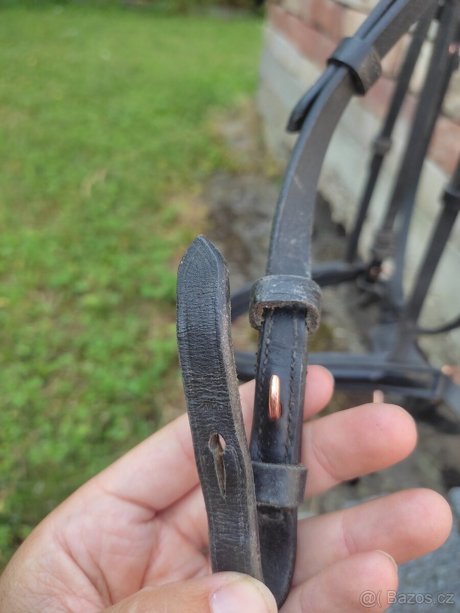 Rosegold uzdečka s lakovaným nánosníkem - 6