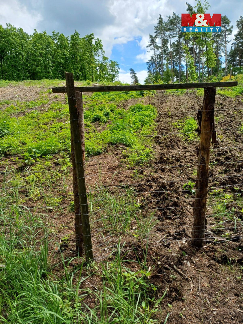 Prodej lesa, 9634 m², Hrazany - 6