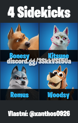 Fortnite (uživatel) - 6