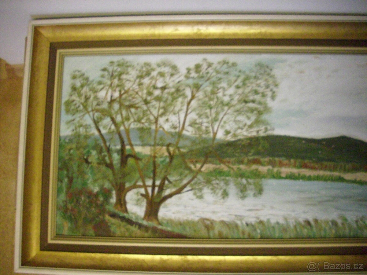Obrazy z nálezu - 6