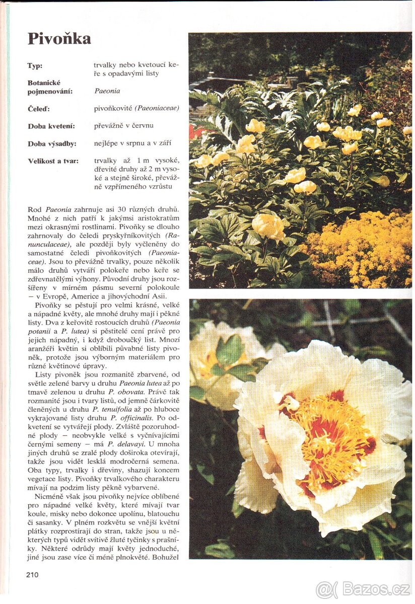 Kniha ZIMA V ZAHRADĚ - 6