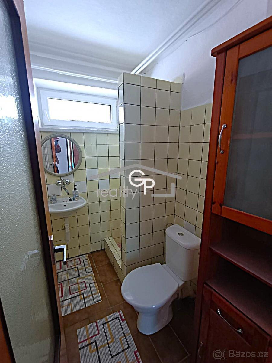 Pronájem 1+1 v obci Vidov - 6