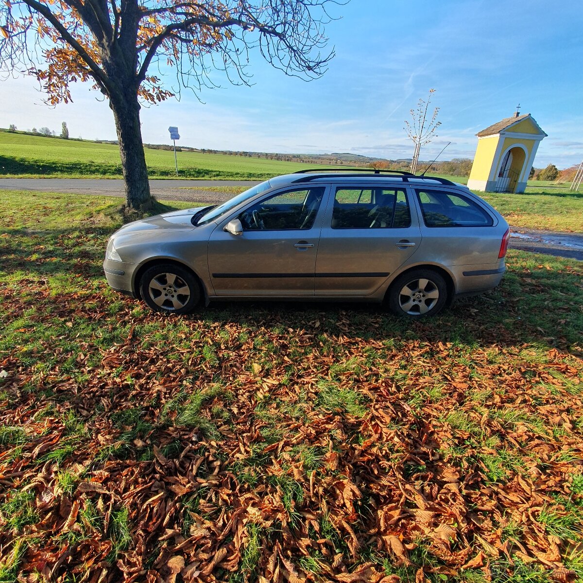 Octavia 2, 1.9 tdi 77kw - 6