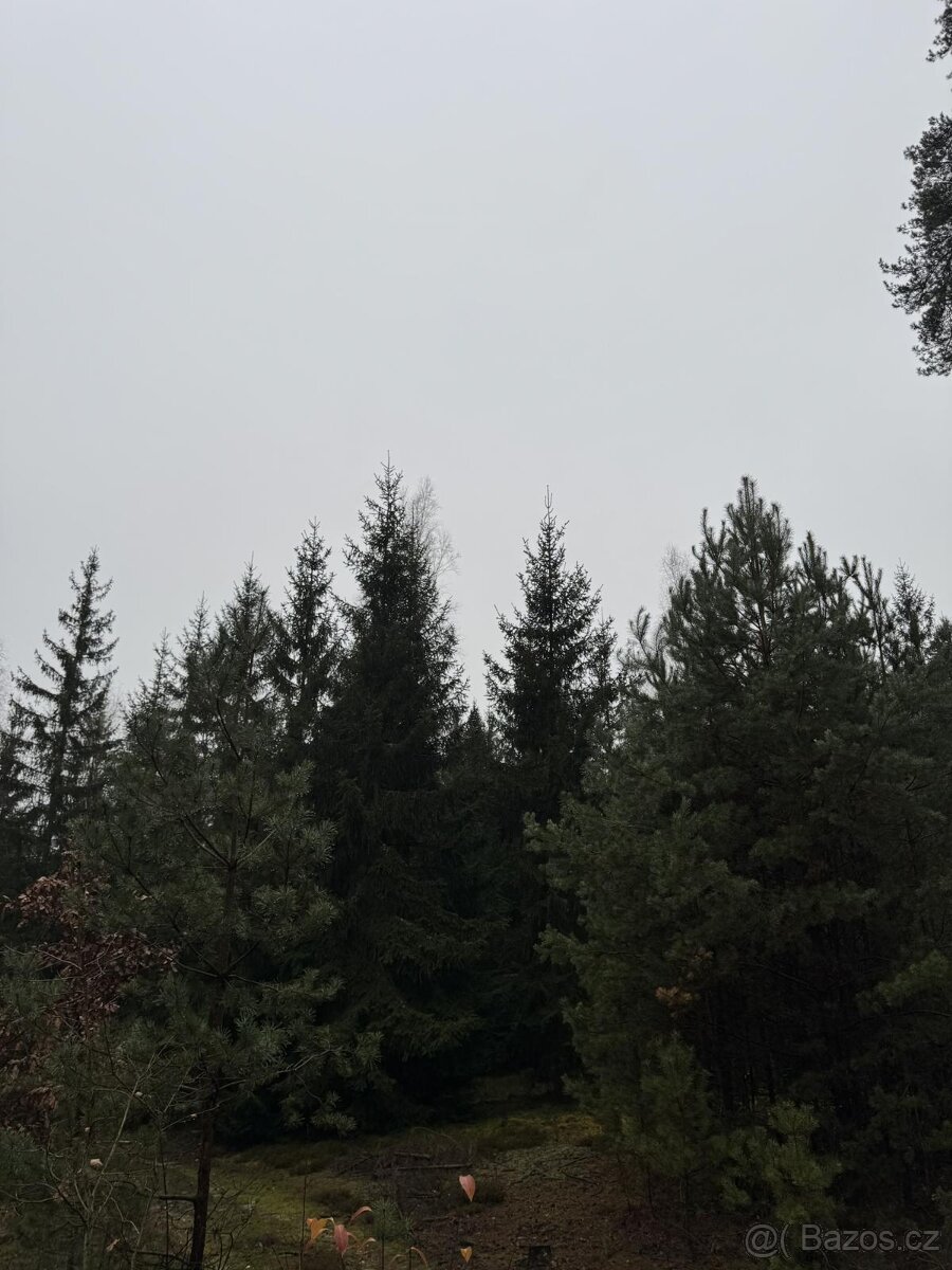 Prodám pozemky v k.ú. Veliny - 6