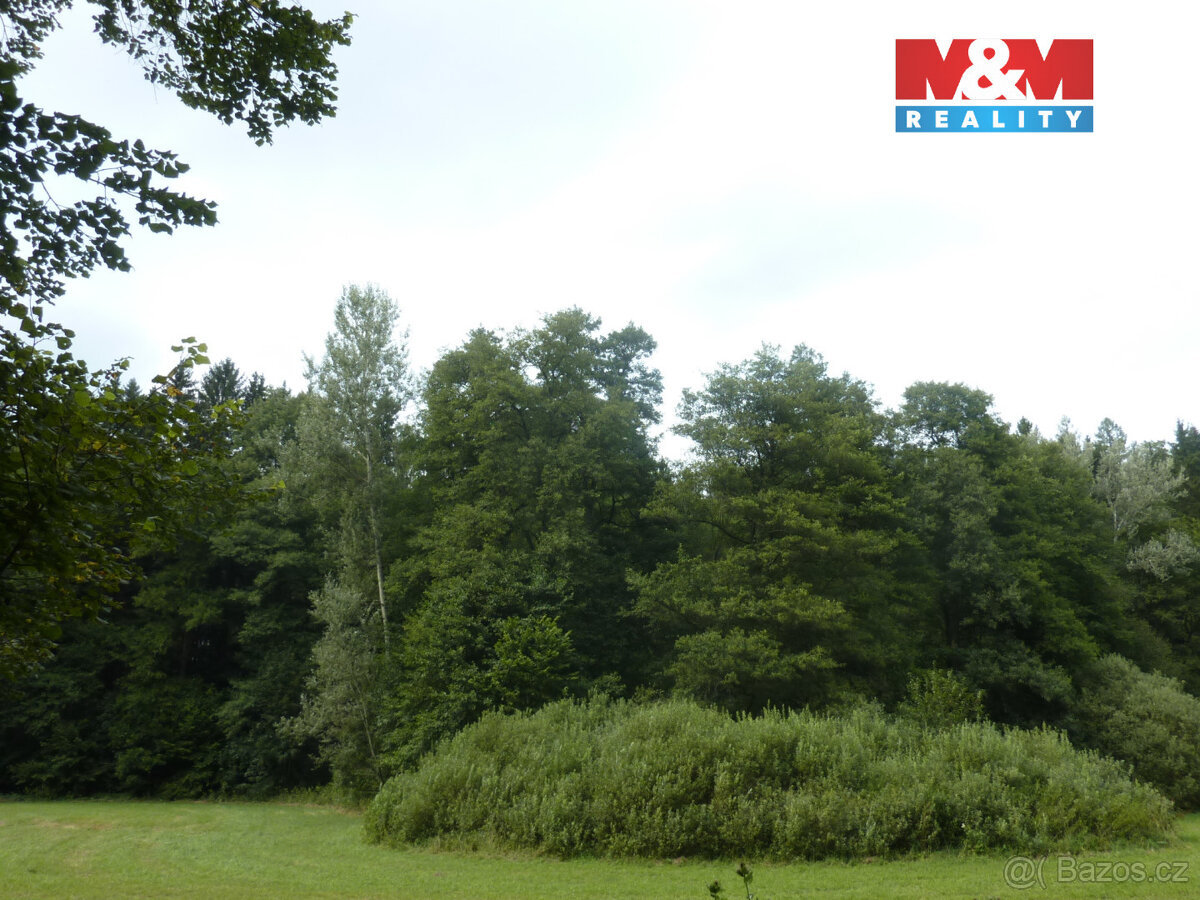 Prodej lesa, 26000 m², Vysoká Srbská, okres Náchod - 6