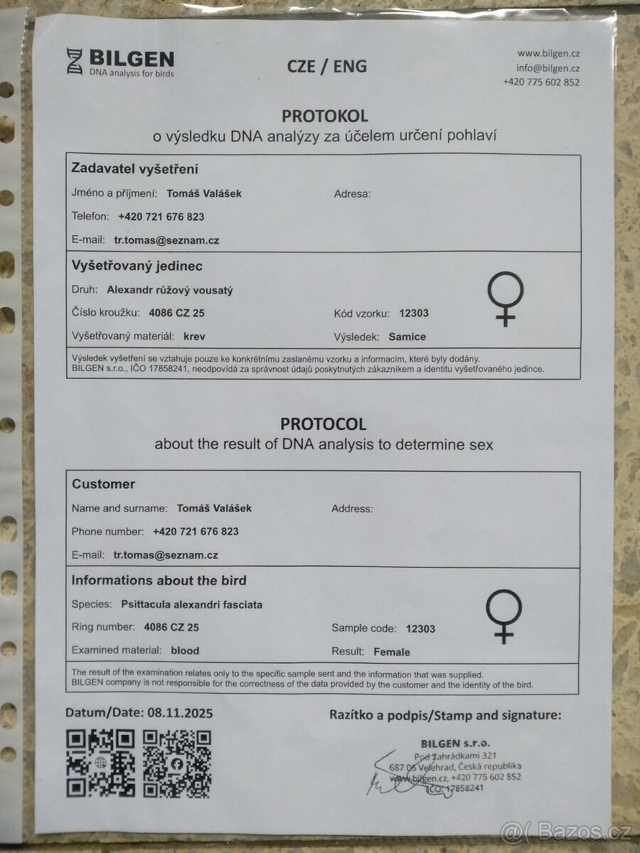 Alexandr růžový vousatý - 6