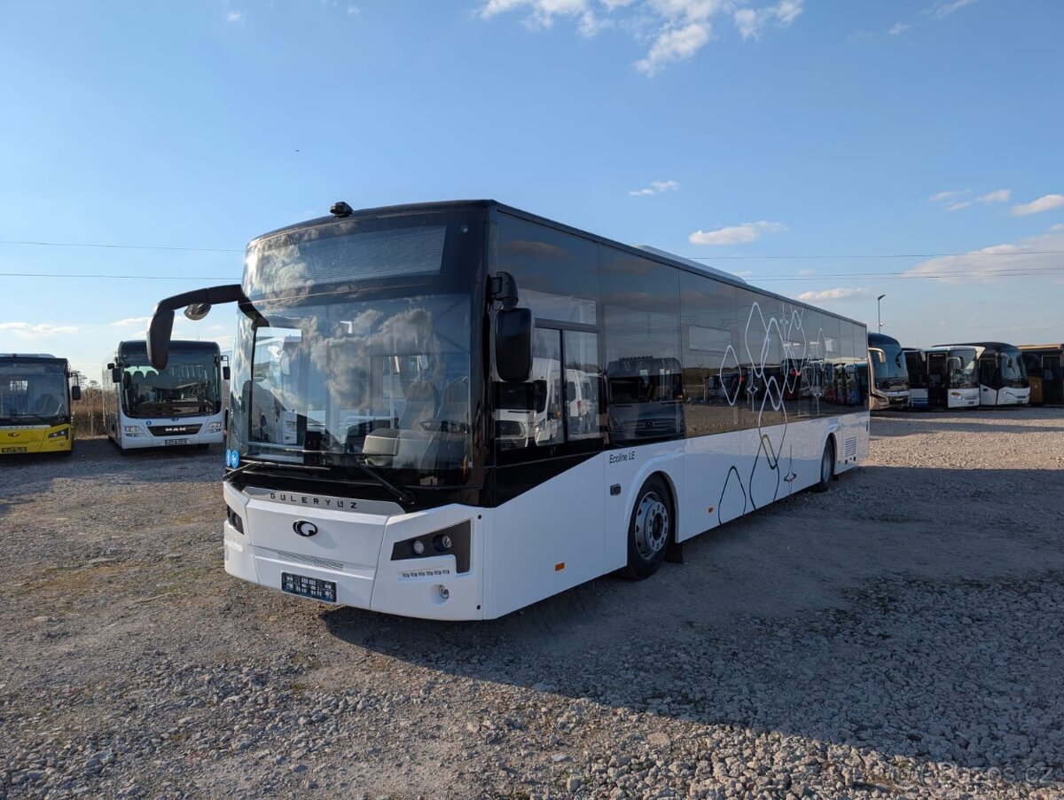 Mercedes Guleryuz Intercity - 6