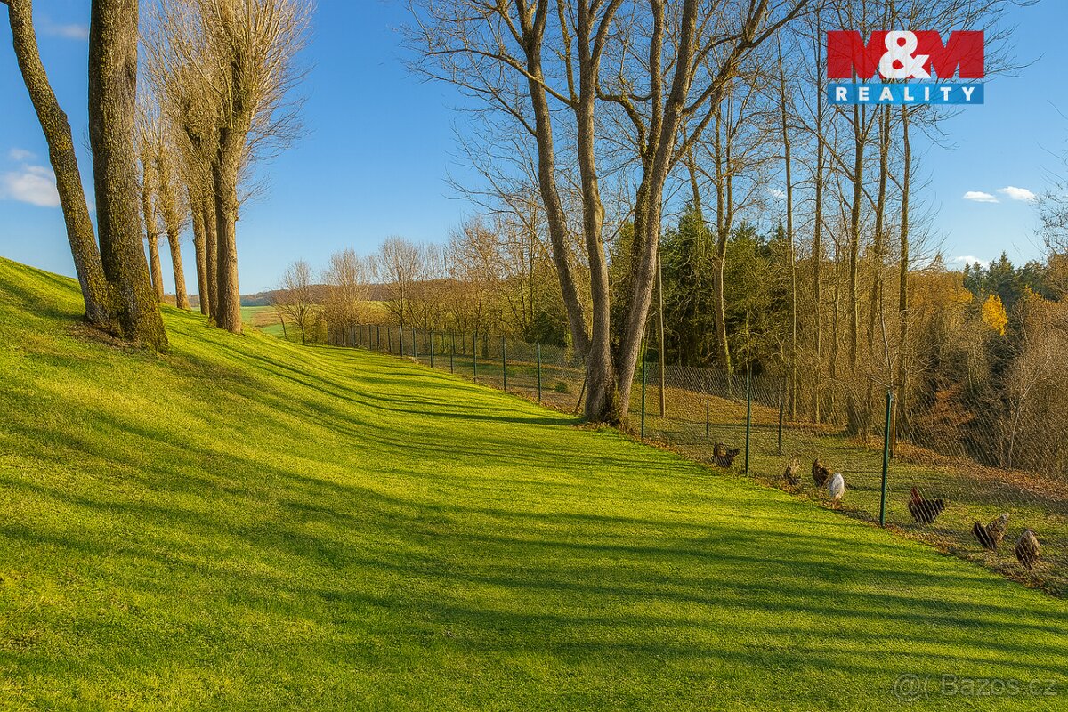 Prodej ideální 1/2 souboru pozemků ve Svijanském Újezdu - 6