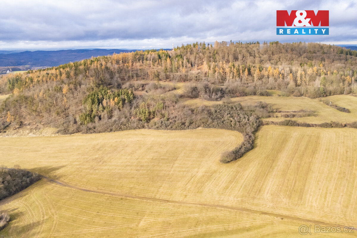 Prodej louky, 13853 m², Kublov - 6